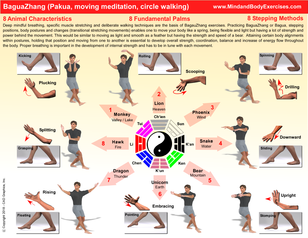 Stretching Fitness And Group Of People In Yoga Or Pilates Class Floor  Exercise For Chakra Balance And Zen Mindset Motivation Mindfulness And  Health Black Man And Women At Body And Mind Workout